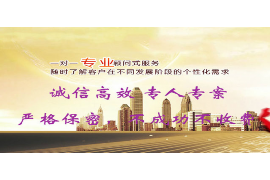 安化为什么选择专业追讨公司来处理您的债务纠纷？