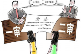 安化安化的要账公司在催收过程中的策略和技巧有哪些？